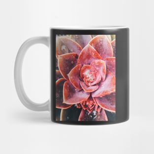 Water Drops on Red Succulent Plant Mug